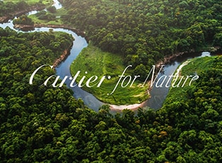 Cartier for Nature